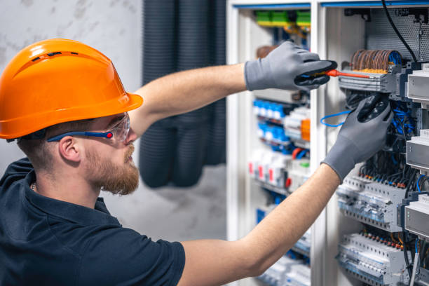 Best Electric Panel Repair  in Fussels Corner, FL